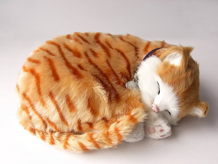 Amazon.co.jp: ニニアンドキノ パーフェクトペット (小サイズ) 茶トラ