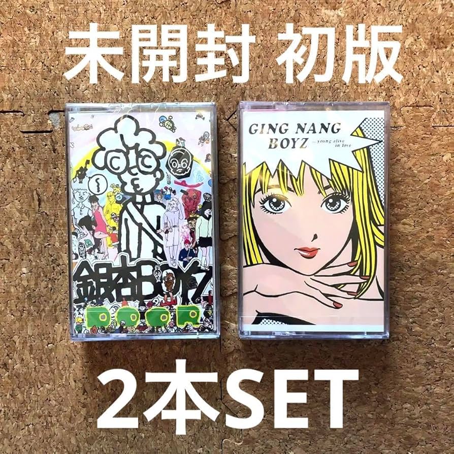 Amazon.co.jp: 初版 銀杏BOYZ 君と僕の第三次世界大戦的恋愛革命 door