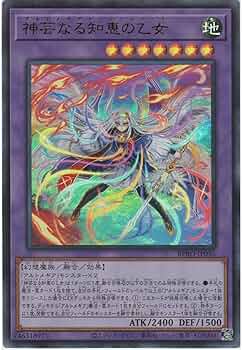 81Z2CASu5tL._AC_UF350,