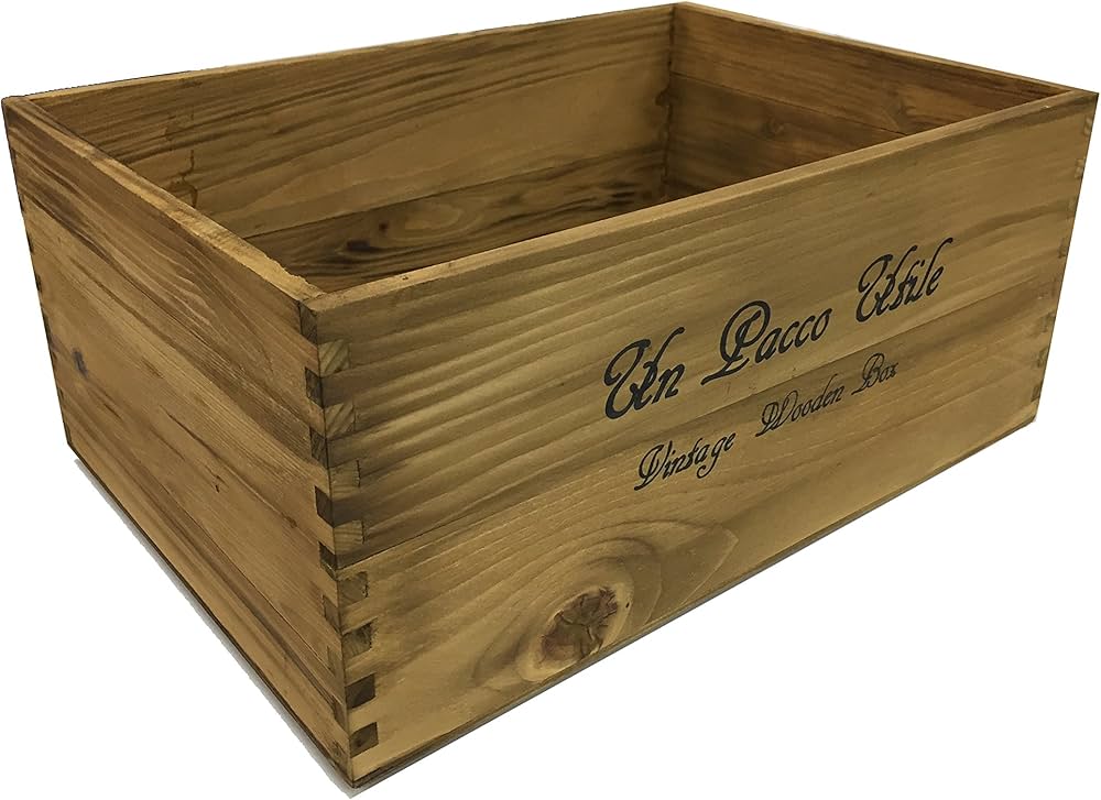 81ZUAkkHx-L._AC_UF1000,