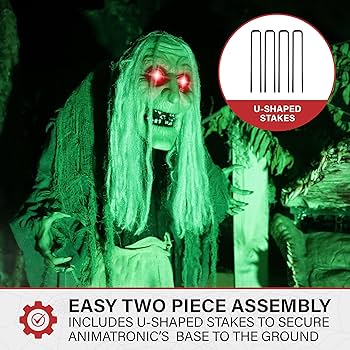 81ZriiwyOrL._AC_UF350,