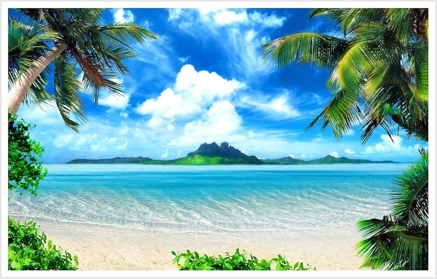 Amazon.co.jp: 美しい南国の風景 ヤシの木 ビーチ 海 島ウォールアート
