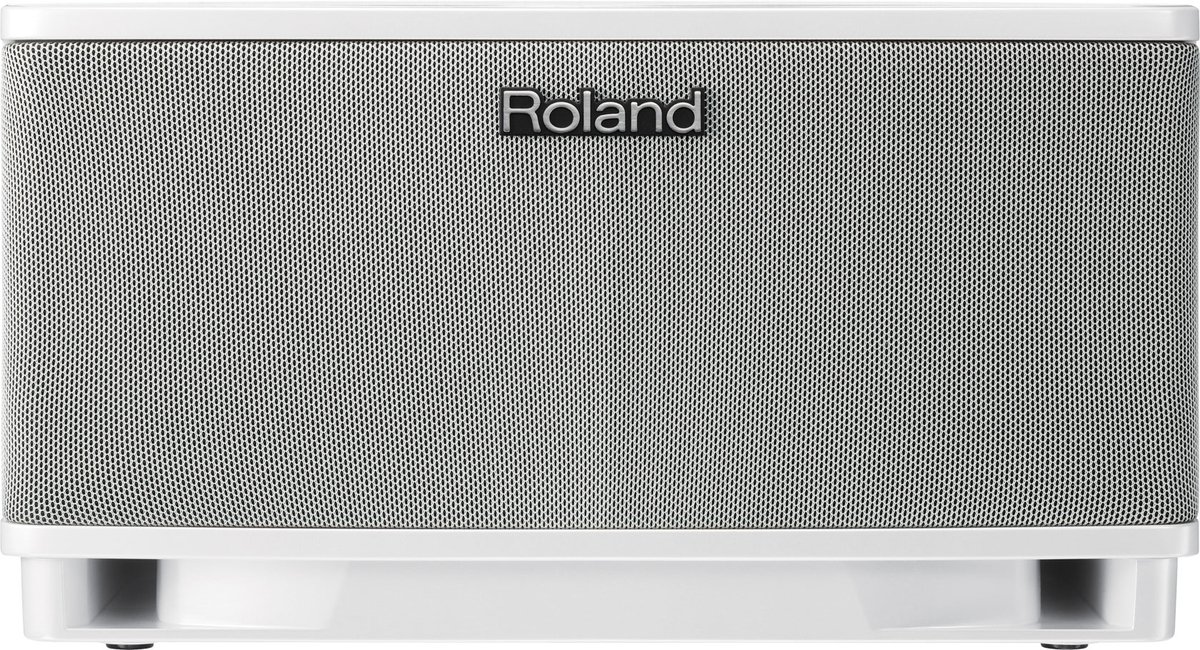Amazon | Roland ステレオ・モニター・アンプ CUBE Lite MONITOR CUBE