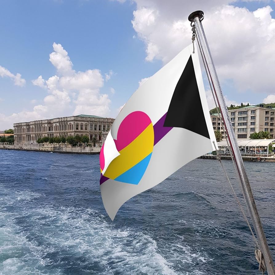 Amazon.com : Demisexual Panromantic Pride Flag The 2x3ft Flag Is