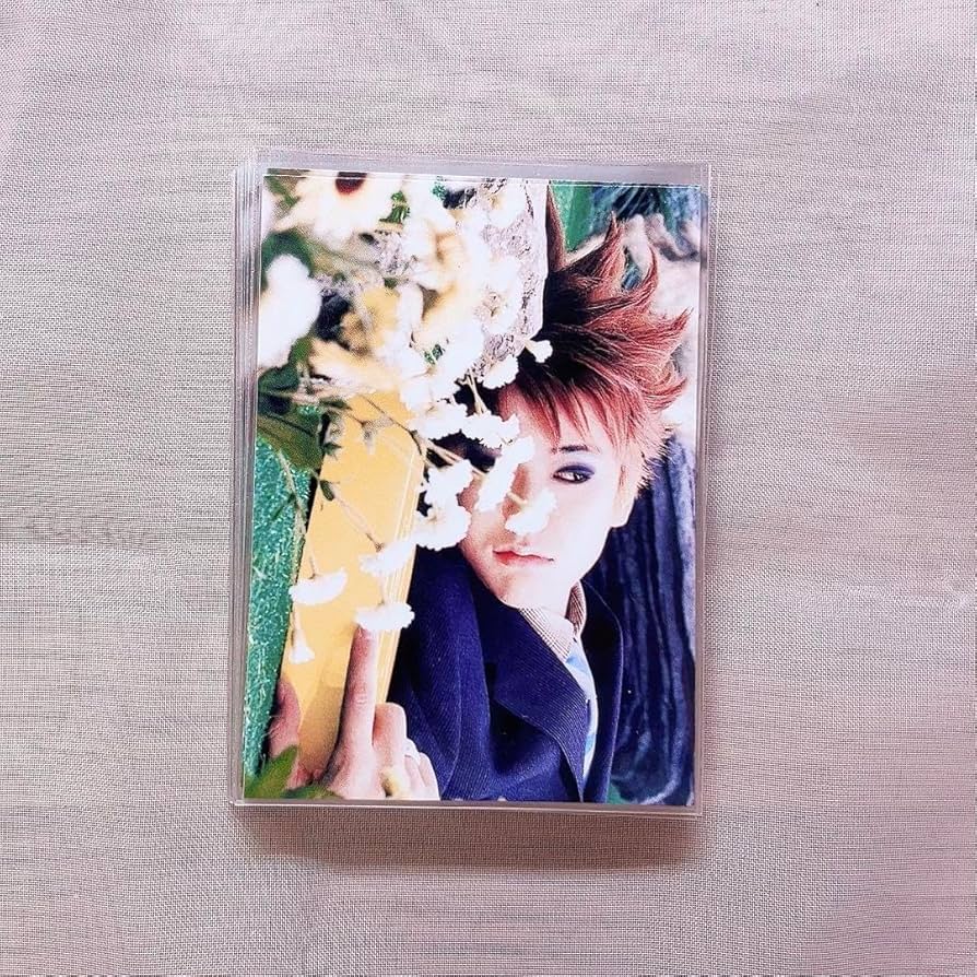 81bMpbCeuWL._AC_UF894,