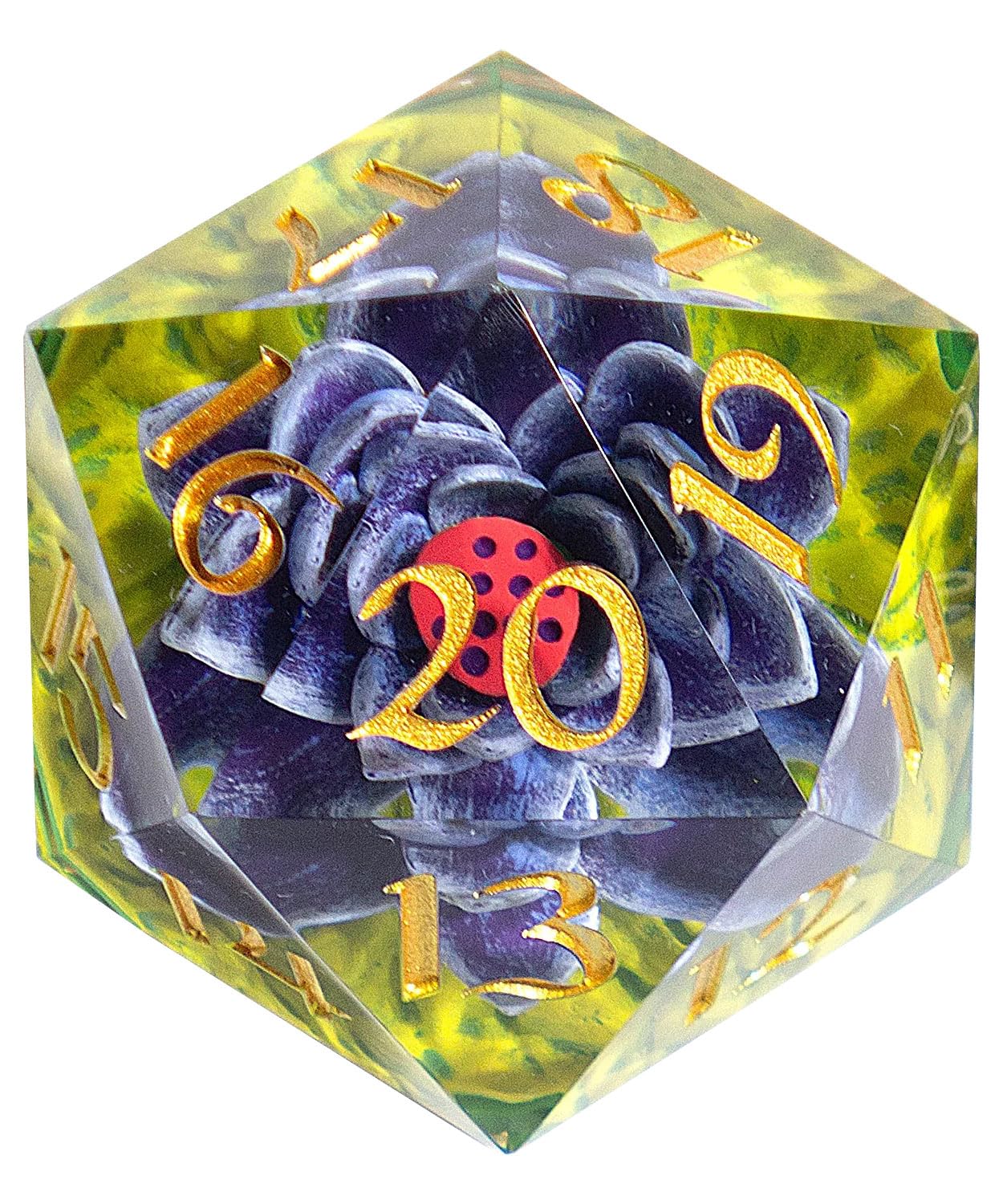 Amazon.com: Magic: The Gathering Black Lotus Spindown 54mm D20