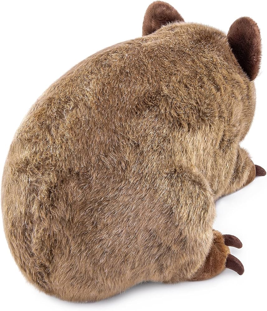 Amazon.com: Frankiezhou Home Lifelike 12' Wombat Stuffed Animal