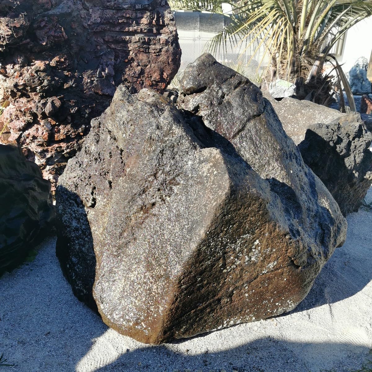 Amazon.co.jp: 鳥海石408キロ庭石鑑賞石石盆石水石灯籠庭坪庭盆栽