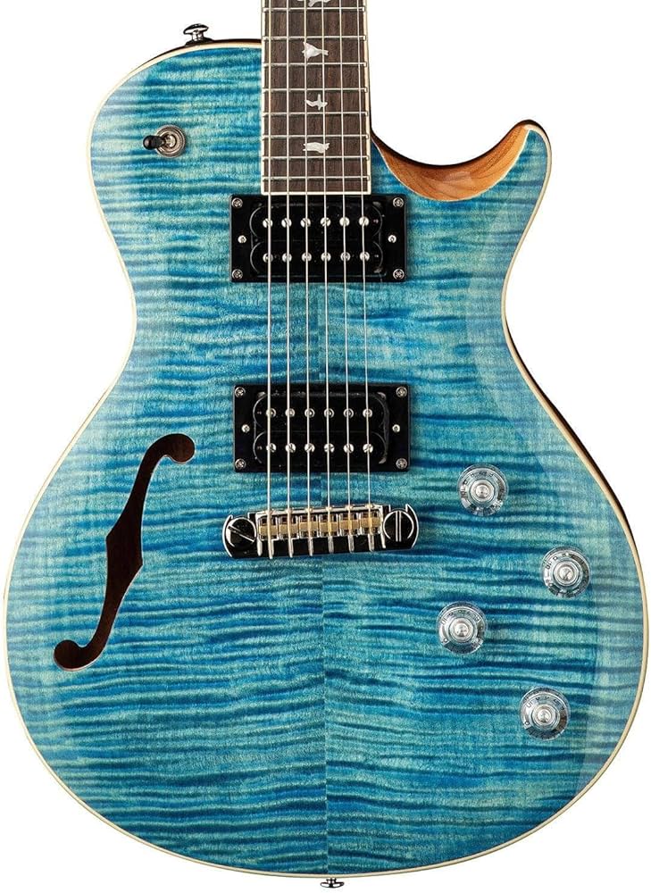 Amazon | PRS SE ZACH MYERS MC エレキギター ポールリードスミス(Paul