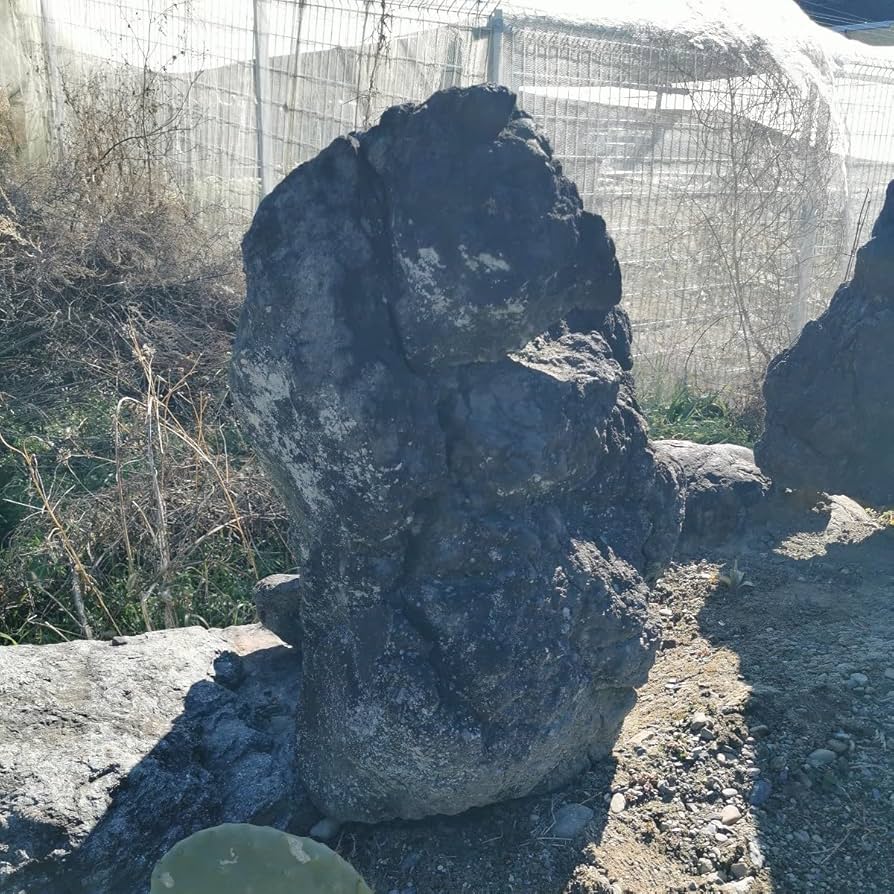 Amazon.co.jp: 浅間溶岩石166キロ庭石鑑賞石石盆石水石灯籠庭坪庭盆栽