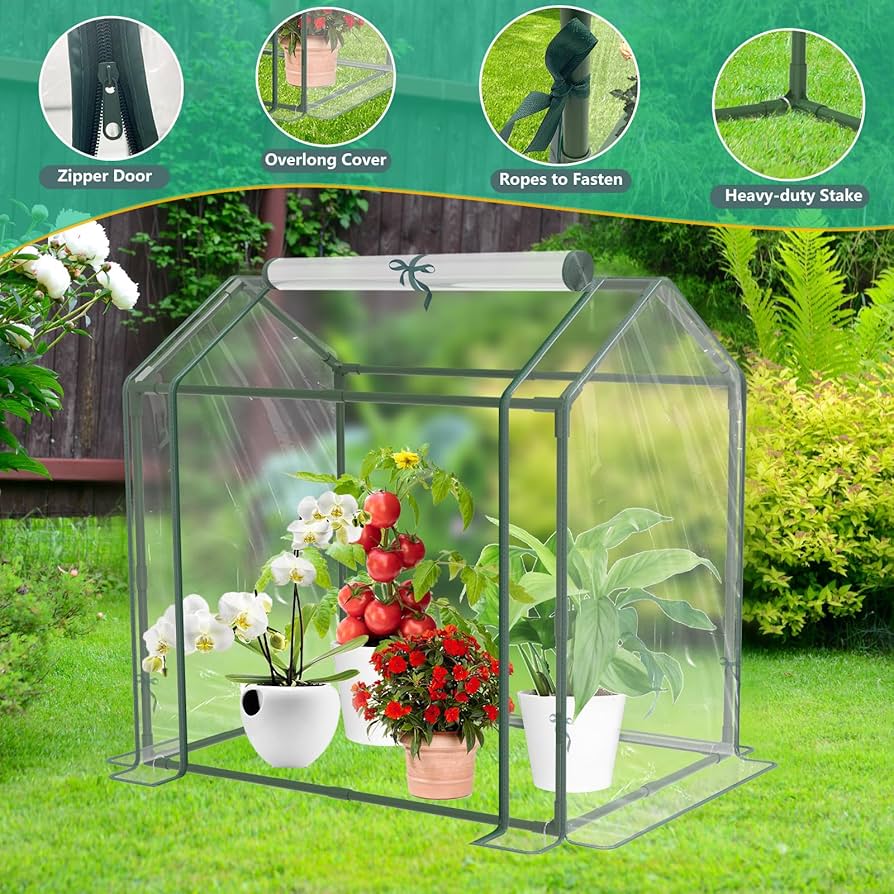 Amazon.com : Mini Greenhouse for Indoor Outdoor Plants, Durable