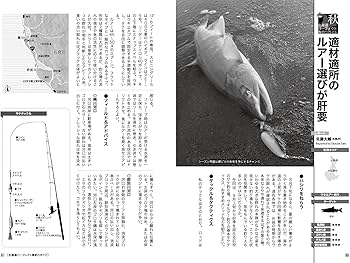 81eH0WlE4wL._AC_UF350,