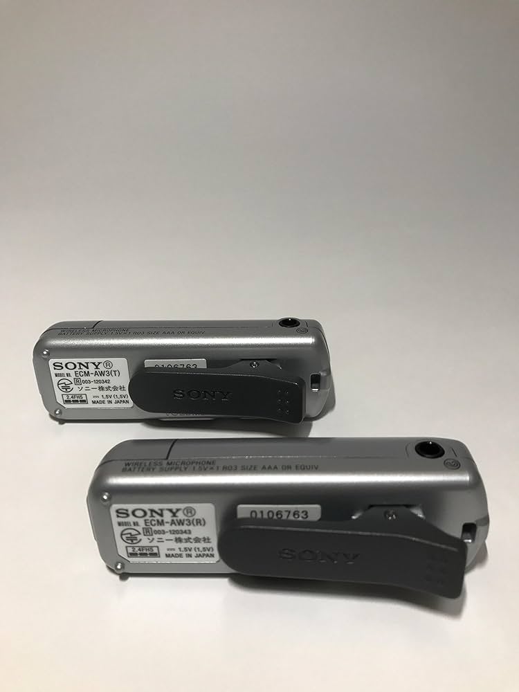 Amazon.co.jp: ソニー ワイヤレスマイクロホン ECM-AW3 : 家電＆カメラ