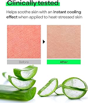 Amazon.com : Holika Holika Aloe 99% Soothing Gel, 8.5 Ounce, 250ml