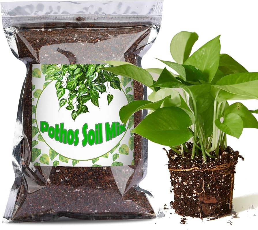 Amazon.com : Doter Organic Pothos Soil Mix 10qt, Indoor Plants