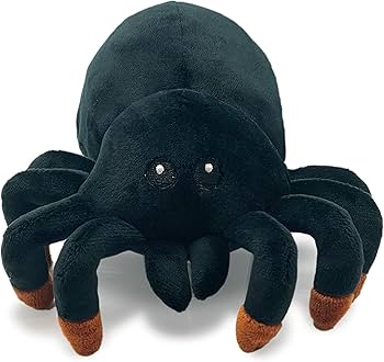 81fTC9dTTZL._AC_UF350,