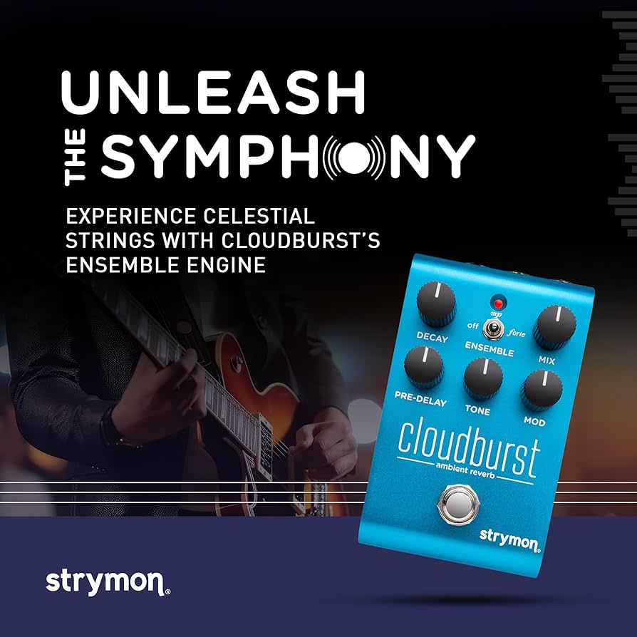 Amazon.co.jp: Strymon/Cloudburst Reverb Strymon : Musical Instruments