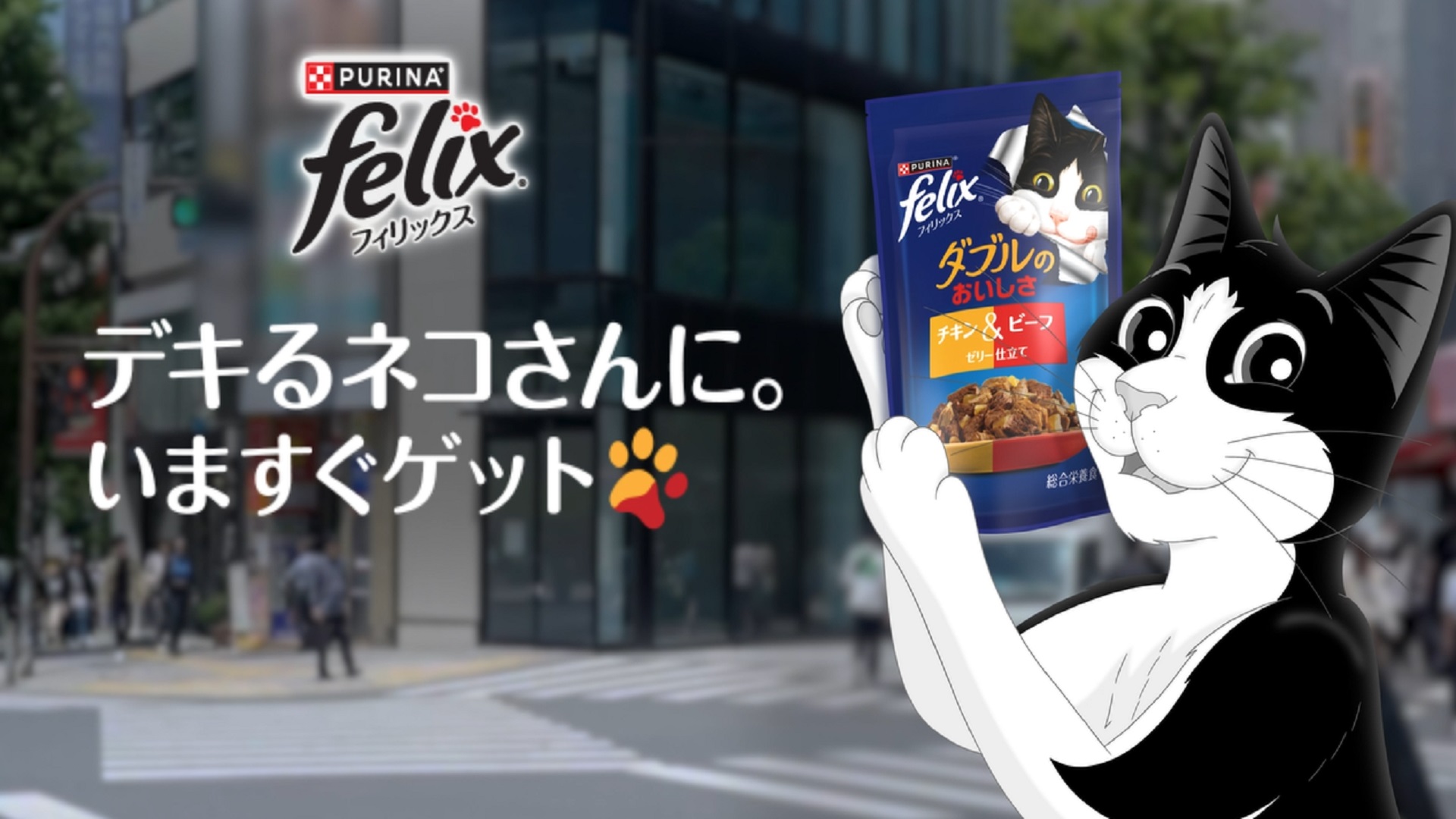 Amazon.co.jp: フィリックス パウチ キャットフード ダブルのおいしさ