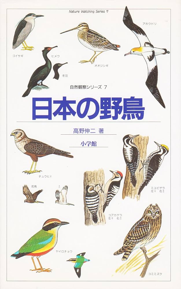 日本の野鳥: 野外での見分け方 (自然観察と生態シリーズ 7) | 高野