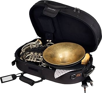 Amazon | PROTEC PB-316SBDLX Black ホルン用セミハードケース | 木