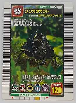 81gi-pP2lxL._AC_UF350,