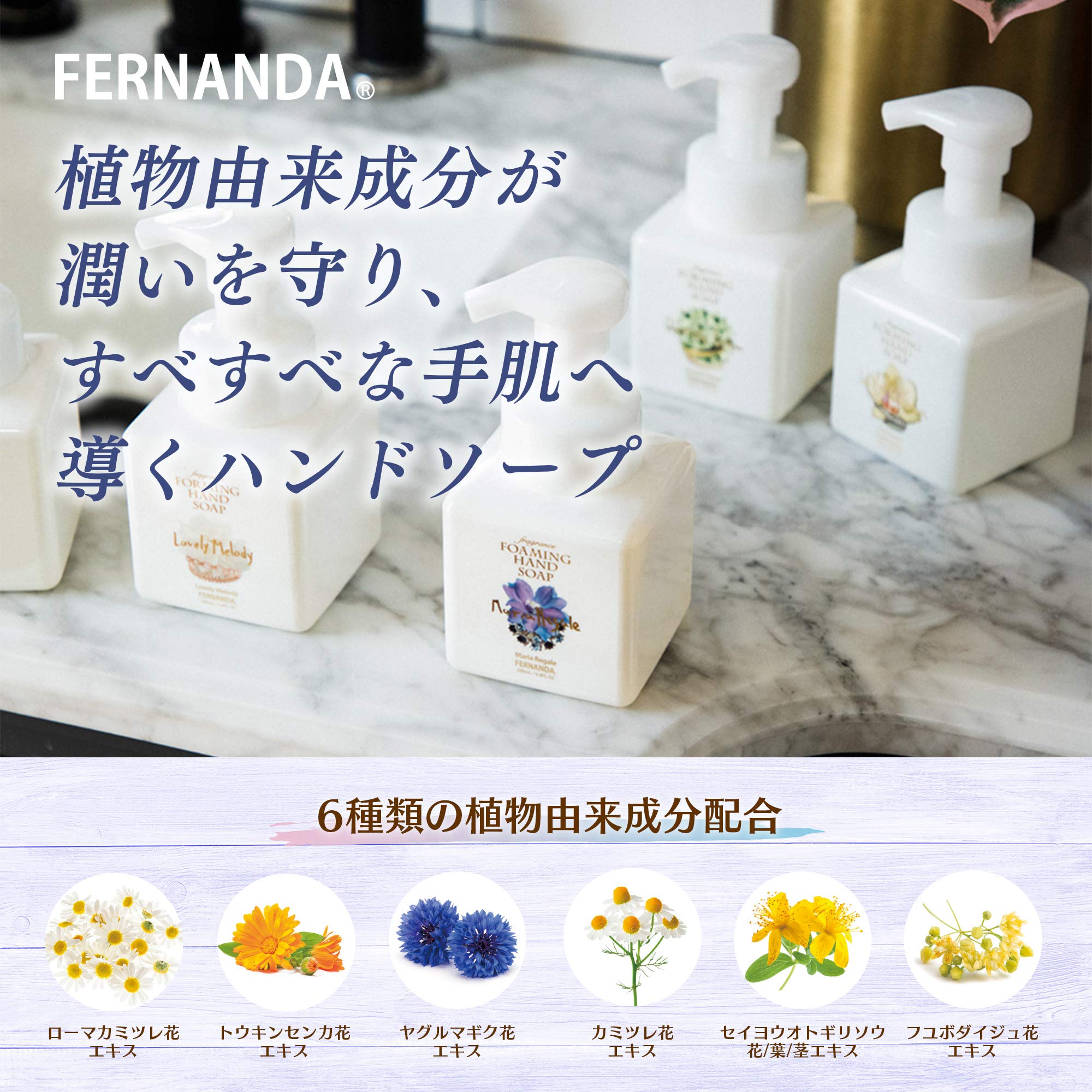 Amazon.co.jp: FERNANDA(フェルナンダ) フェルナンダ Fragrance