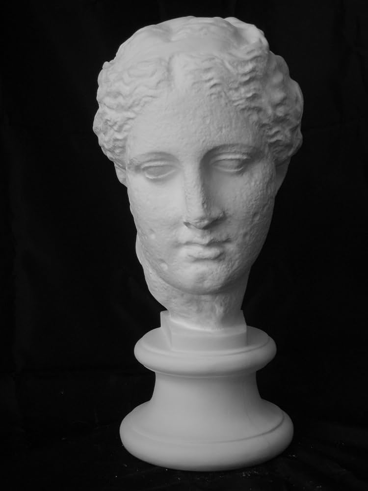 81hHc-6mA6L._AC_UF894,