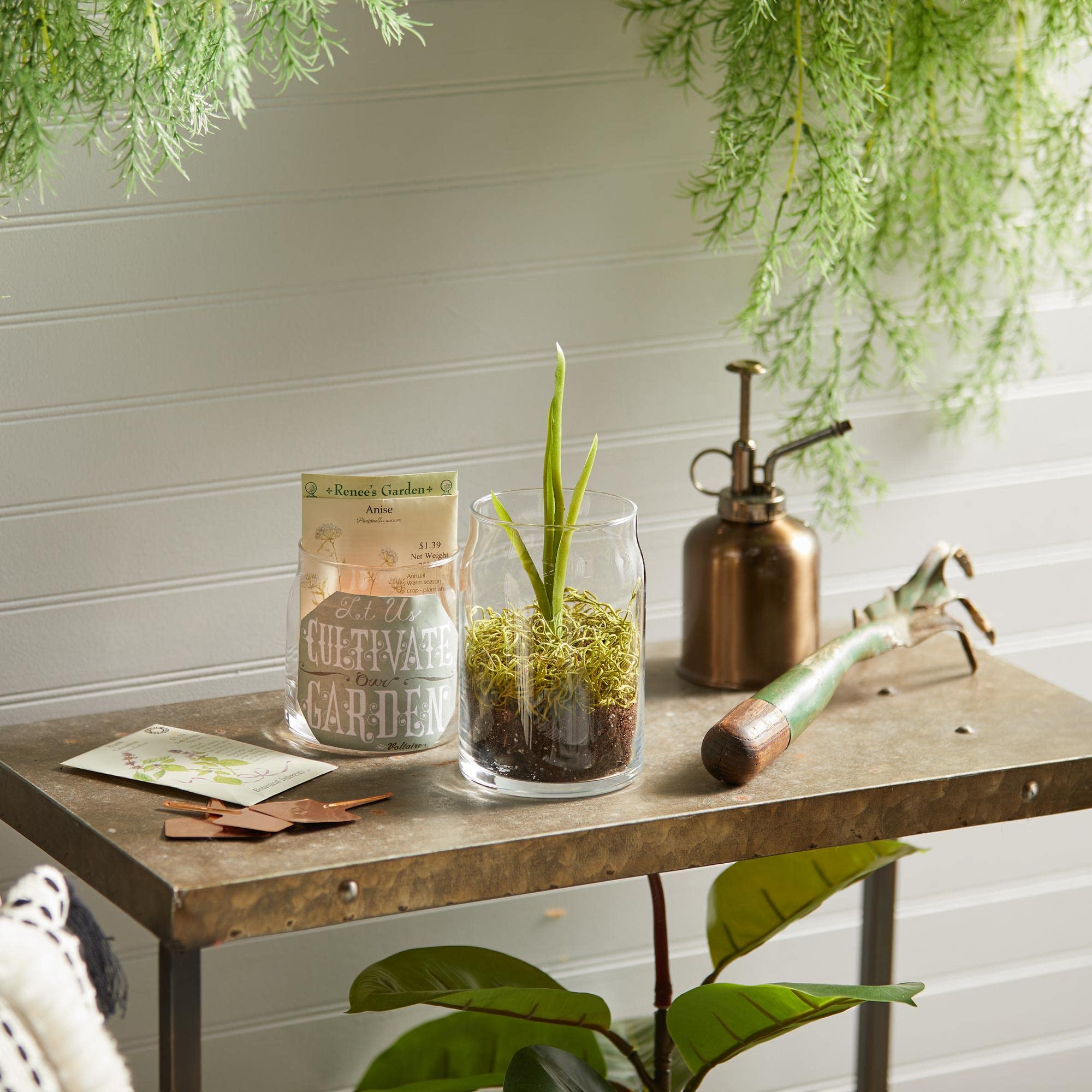 Amazon.co.jp: Yankee Candle MidSummer's Night Signature ミディアム