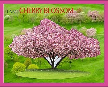 Amazon.com: I Am Cherry Blossom 1000 Pieces : Madd Capp: Toys & Games