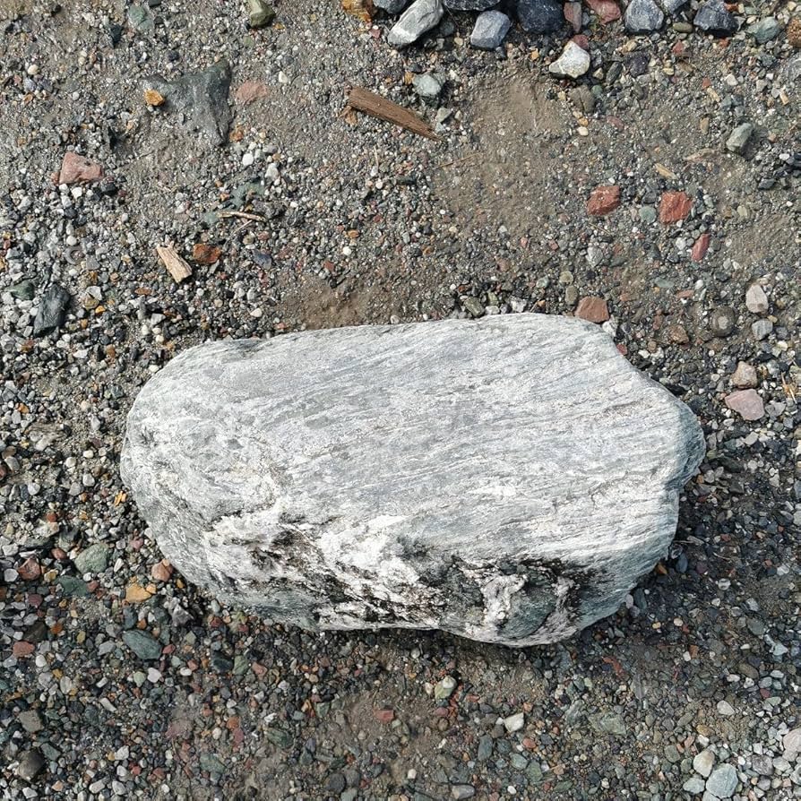 Amazon.co.jp: 三波石108キロ庭石鑑賞石石盆石水石灯籠庭坪庭盆栽