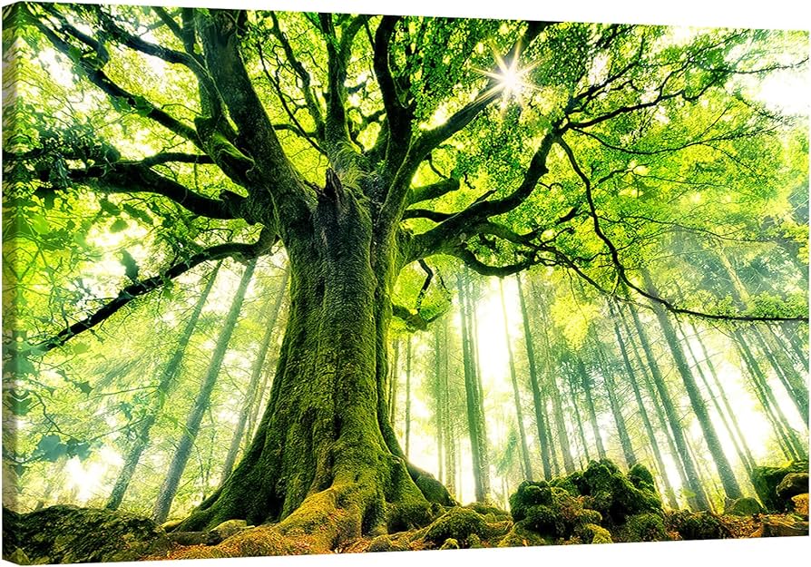 Amazon.co.jp: 森の大きな木 緑の絵画 アートパネル 風景画 自然風景画