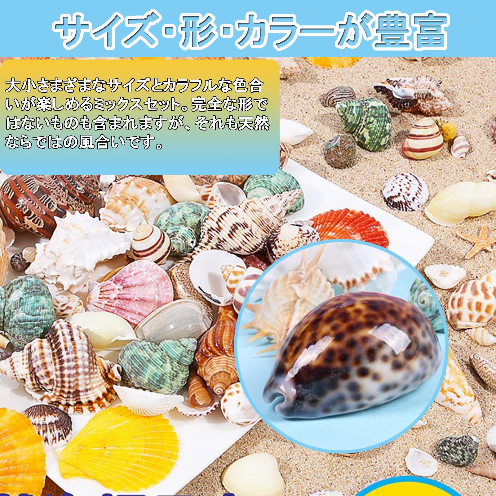 Amazon | 貝殻セット カラフル 貝殻 アソート セット 天然素材