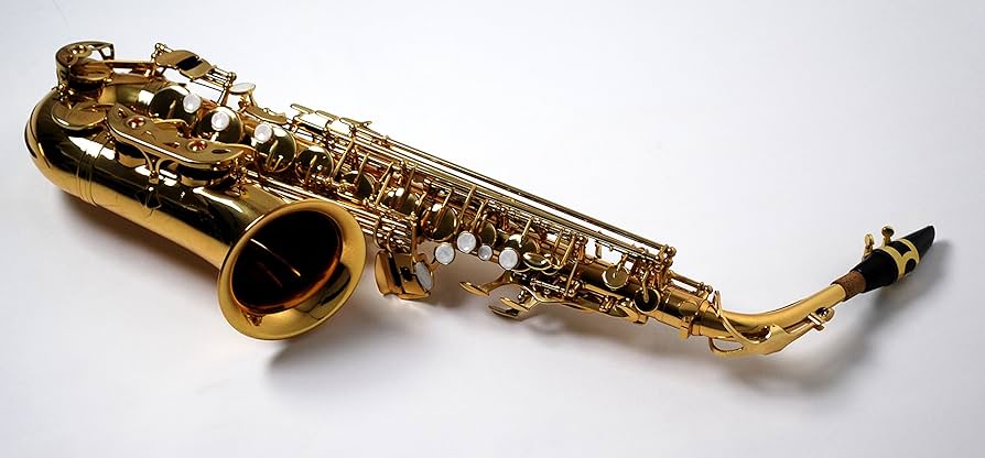 Amazon | Kaerntner ケルントナー アルトサックス KAL-62 | サックス