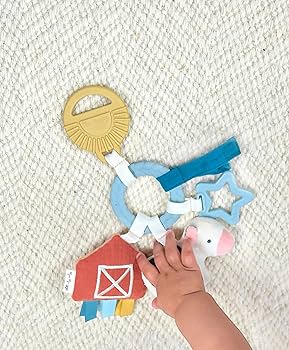 Amazon.com: Itzy Ritzy Farm Toy Gift Set - Includes Cow Lovey