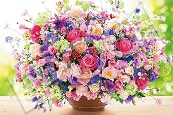 81kslSPiJIL._AC_UF350,