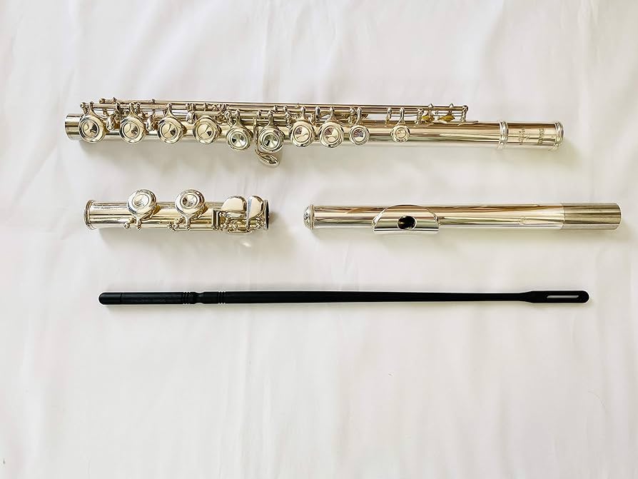 Amazon.co.jp: Yamaha YFL-221 Flute : Musical Instruments