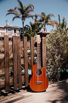 Amazon | Cordoba (コルドバギター) ミニ エレガット ギター PU付 全長