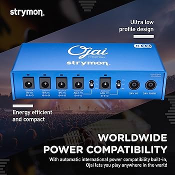 Amazon.com: Strymon Ojai R30 High Current Guitar Pedal Power