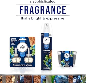 Amazon.com: Glade PlugIns Refills Air Freshener, Scented and