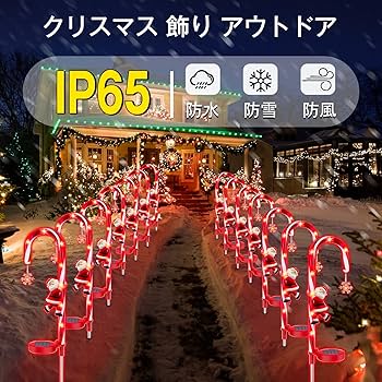 81moW1txnSL._AC_UF350,