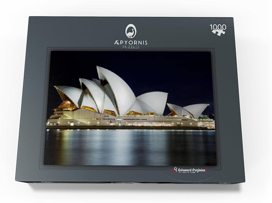 ミッシェルドラクロワ オペラ劇場の夜 ジグソーパズル 1000 Amazon.com