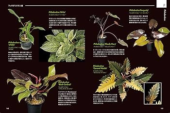 AROID ADDICTS サトイモ科熱帯植物図鑑: 人気のモンステラ・アロカシア