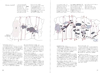新版 関東周辺の岩場 (クライミング・ガイドブックス) | 菊地敏之 |本