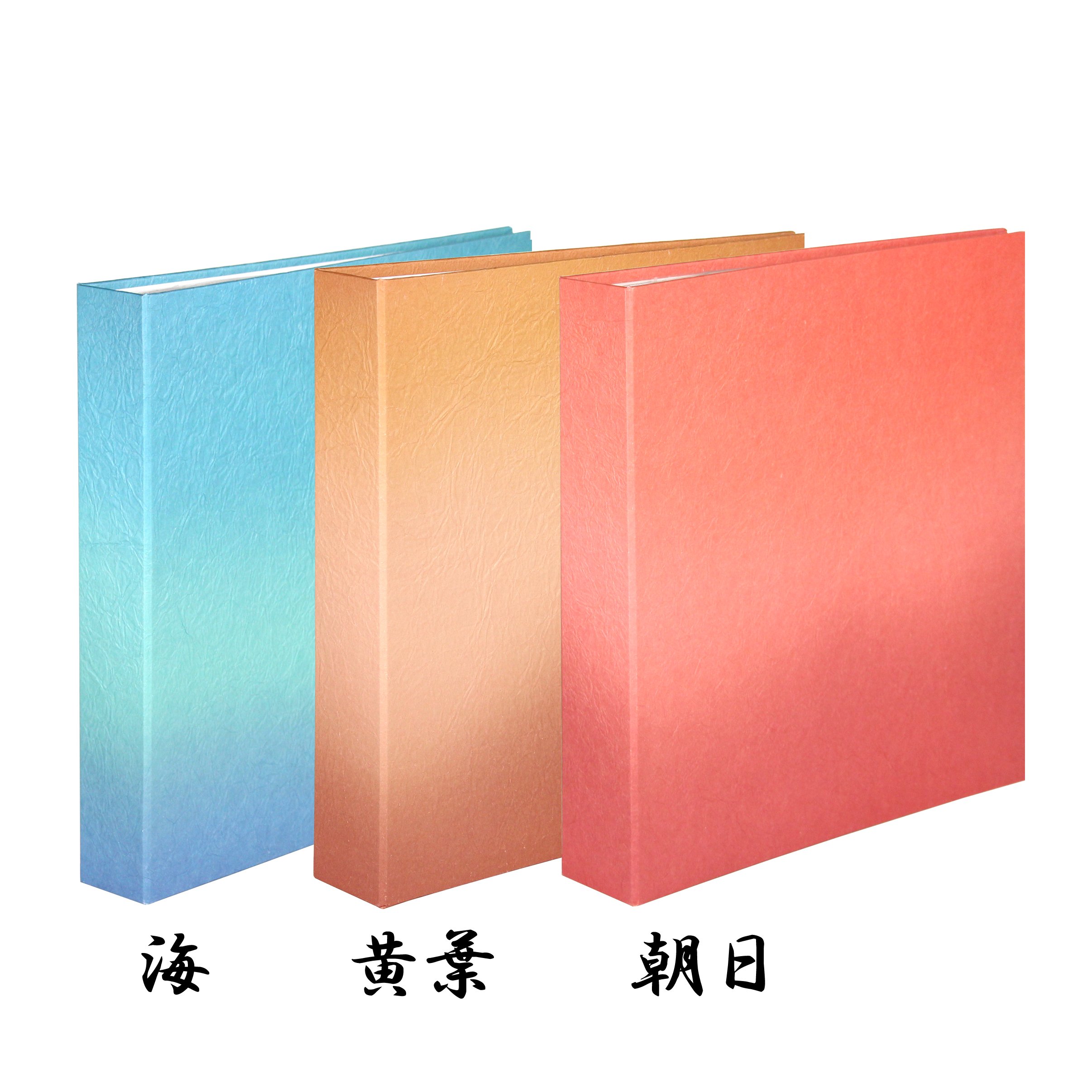 Amazon | わがみ小路 自然のささやき 大色紙ファイル 海 | 色紙