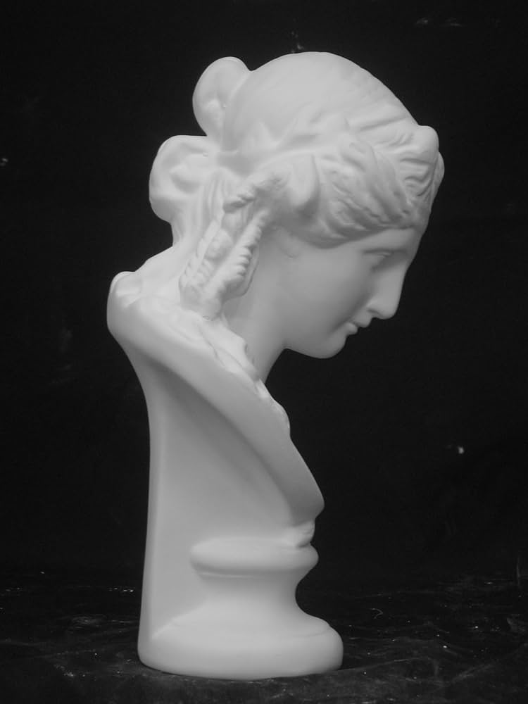 Amazon.co.jp: 石膏像 A－352 アリアス胸像（小） H．25cm