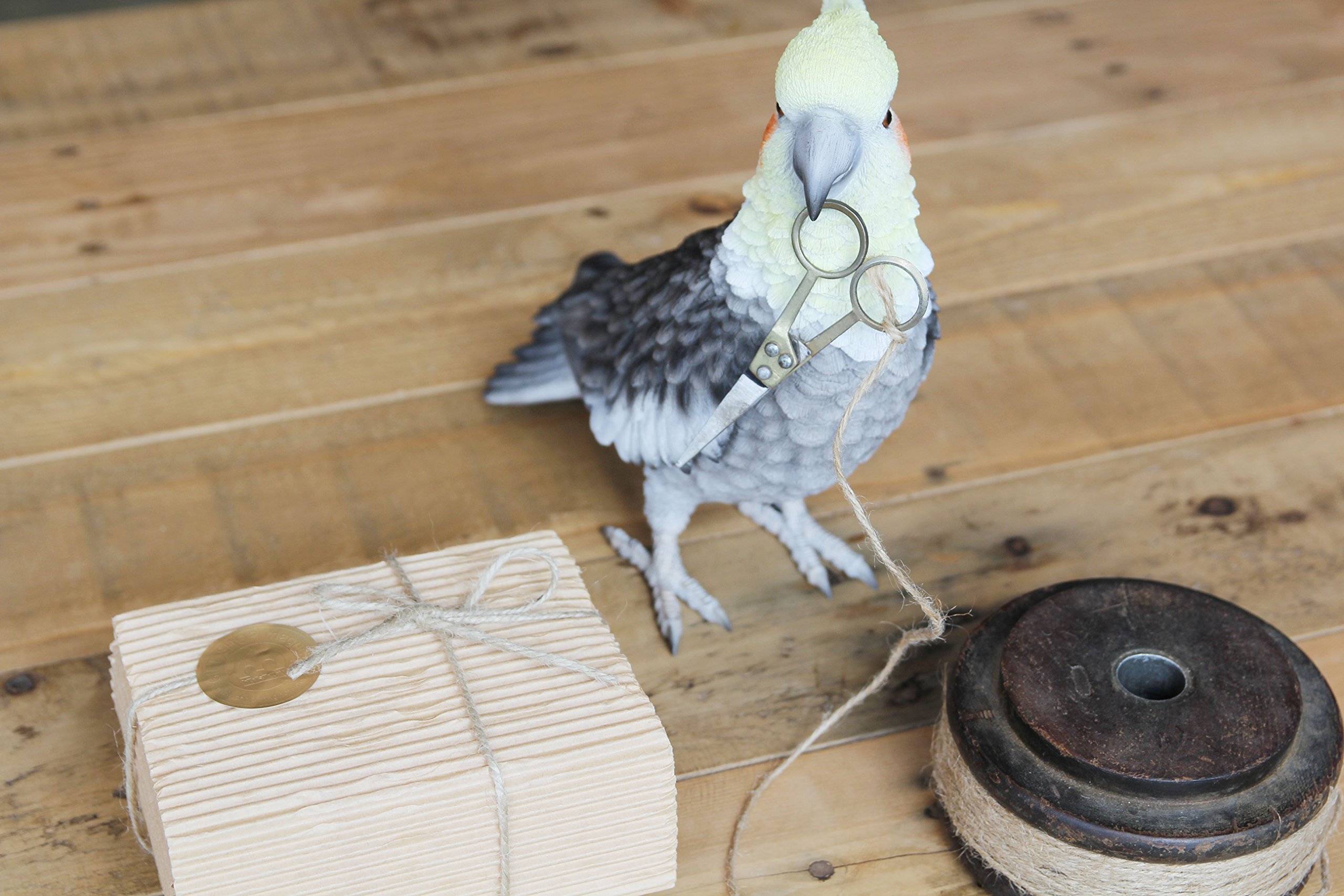 Amazon.co.jp: ブルーバード 幸せの青い鳥 小鳥 オブジェ 置物 BIRDIE