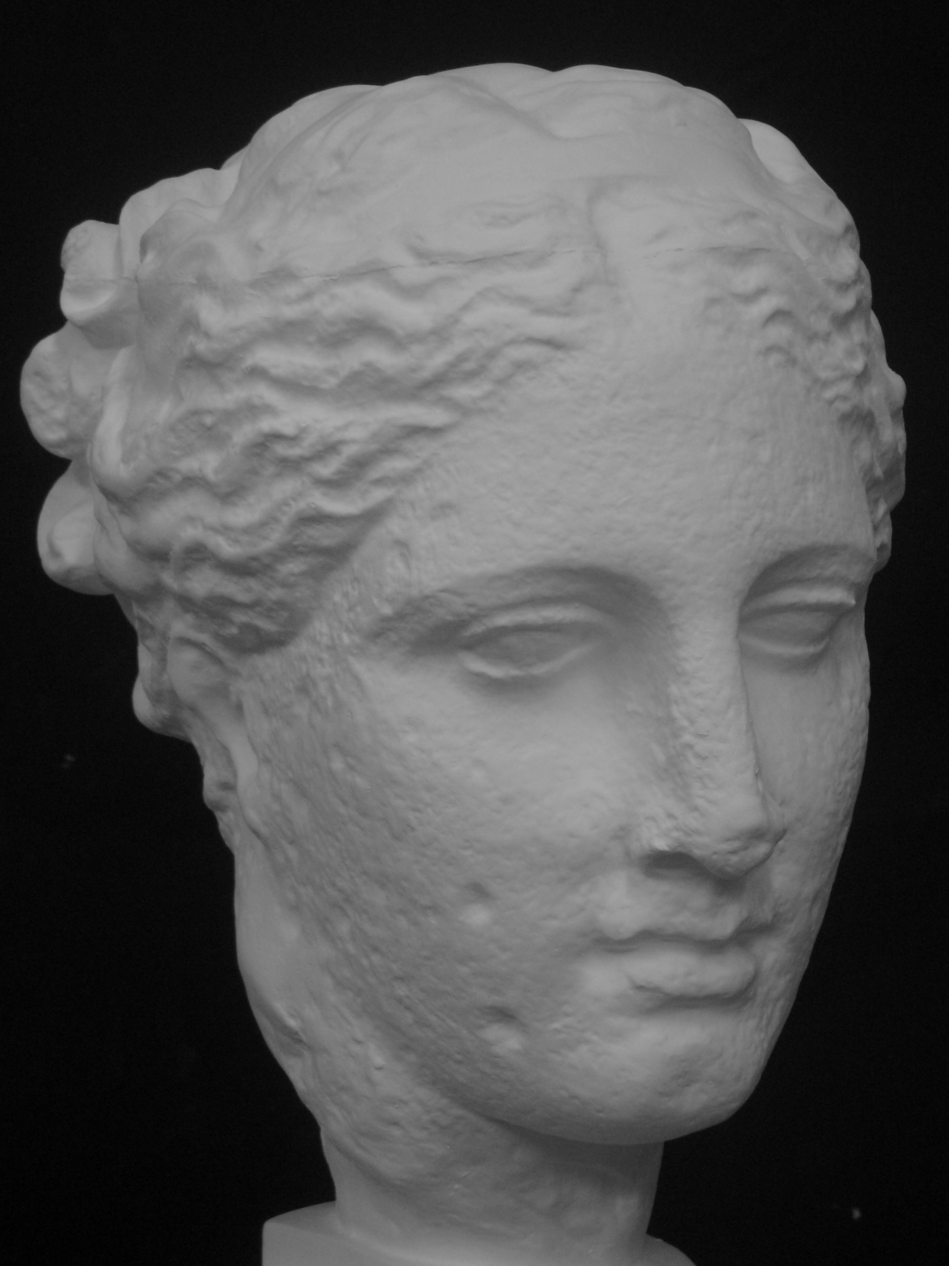 Amazon.co.jp: 石膏像 S－205 古代ヴィーナス首像（アバタの