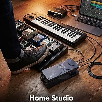 Amazon.com: Boss EV-30 Dual Expression Pedal Bundle with TRS Cable