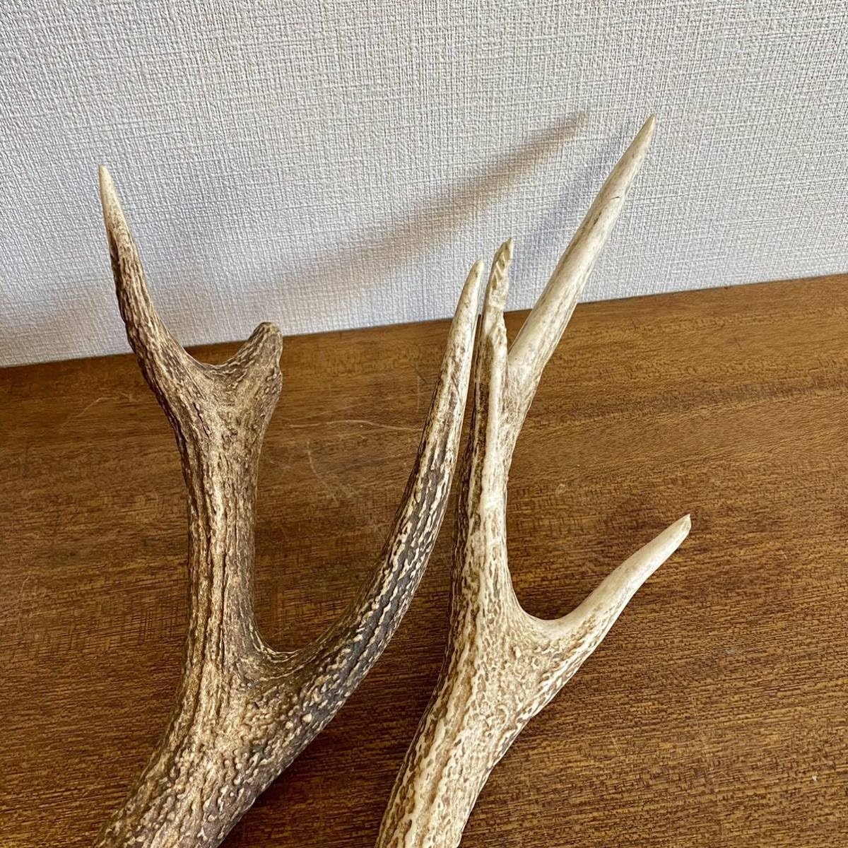 Amazon.co.jp: 大きめの鹿の角4本セット鹿角ディスプレイ飾りオブ