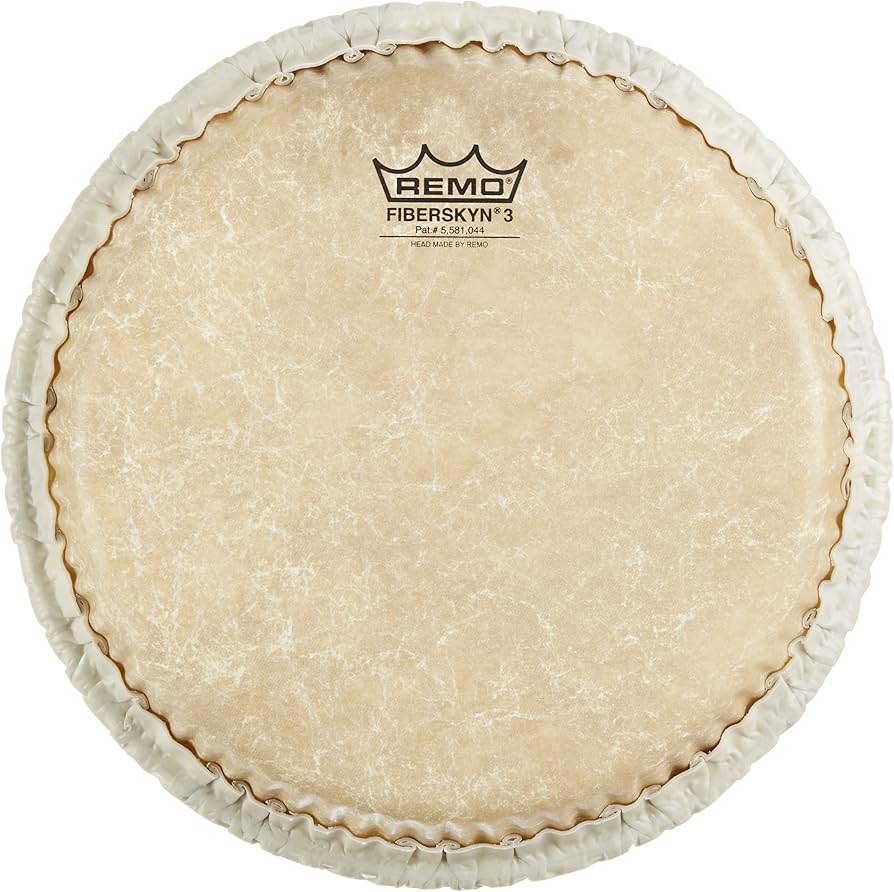 Amazon.com: Remo M7S100F5 Drumhead Pack (M7-S100-F5) : Musical